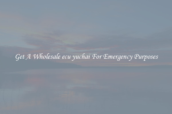 Get A Wholesale ecu yuchai For Emergency Purposes
