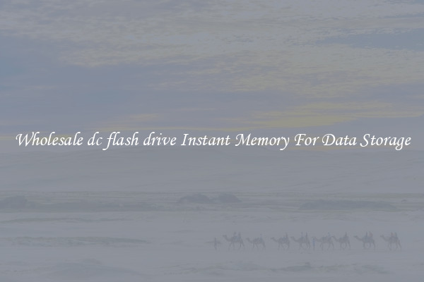 Wholesale dc flash drive Instant Memory For Data Storage