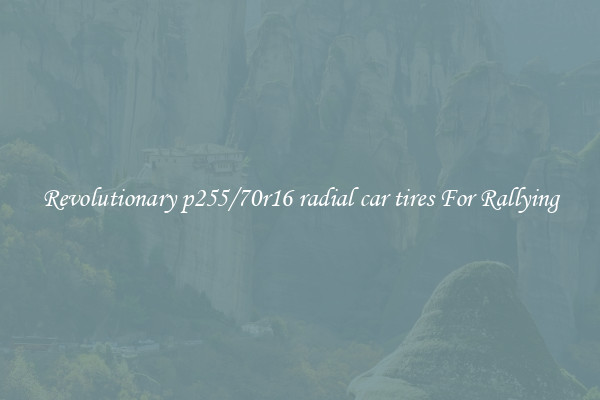 Revolutionary p255/70r16 radial car tires For Rallying