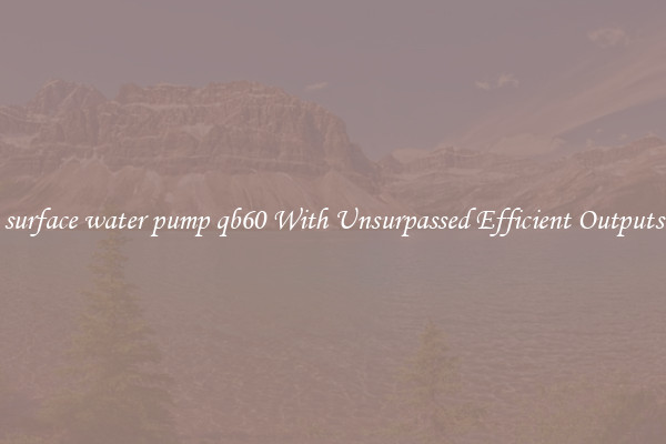 surface water pump qb60 With Unsurpassed Efficient Outputs
