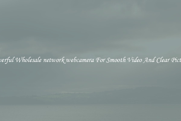 Powerful Wholesale network webcamera For Smooth Video And Clear Pictures