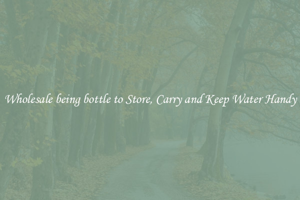 Wholesale being bottle to Store, Carry and Keep Water Handy