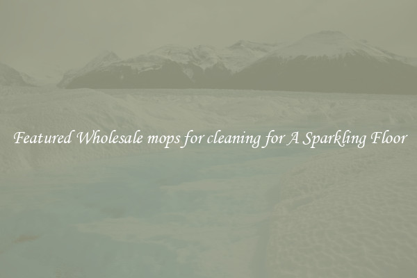 Featured Wholesale mops for cleaning for A Sparkling Floor