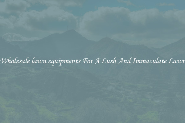 Wholesale lawn equipments For A Lush And Immaculate Lawn