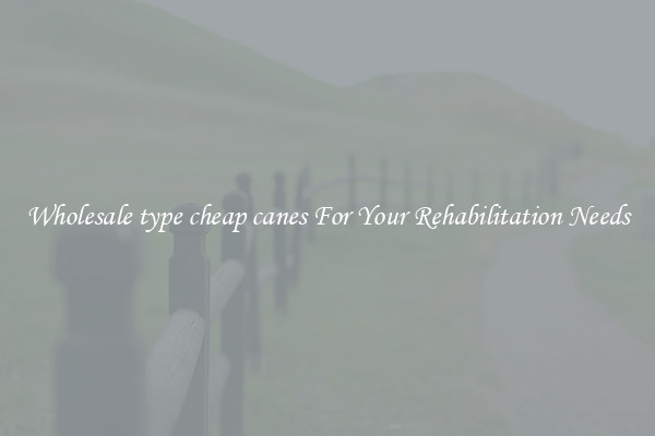 Wholesale type cheap canes For Your Rehabilitation Needs