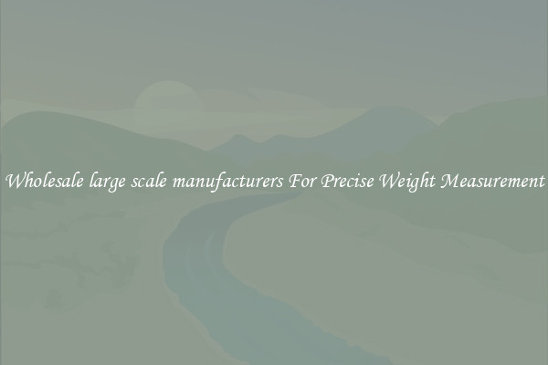 Wholesale large scale manufacturers For Precise Weight Measurement