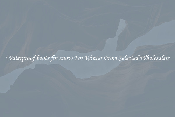 Waterproof boots for snow For Winter From Selected Wholesalers