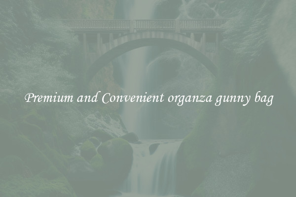 Premium and Convenient organza gunny bag