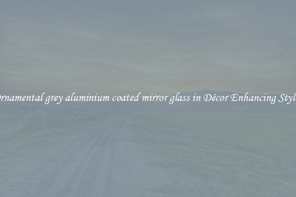 Ornamental grey aluminium coated mirror glass in Décor Enhancing Styles