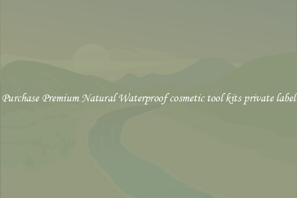 Purchase Premium Natural Waterproof cosmetic tool kits private label
