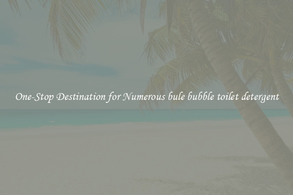 One-Stop Destination for Numerous bule bubble toilet detergent