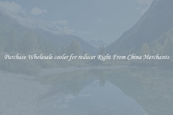 Purchase Wholesale cooler for reducer Right From China Merchants
