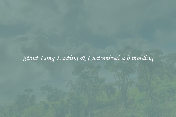 Stout Long-Lasting & Customized a b molding