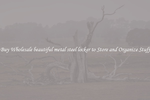 Buy Wholesale beautiful metal steel locker to Store and Organize Stuff
