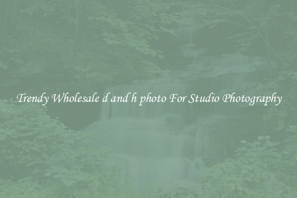 Trendy Wholesale d and h photo For Studio Photography