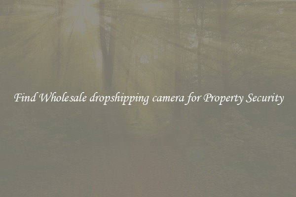 Find Wholesale dropshipping camera for Property Security