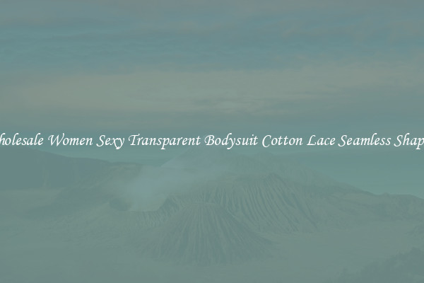 Wholesale Women Sexy Transparent Bodysuit Cotton Lace Seamless Shaping