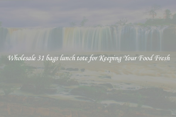 Wholesale 31 bags lunch tote for Keeping Your Food Fresh