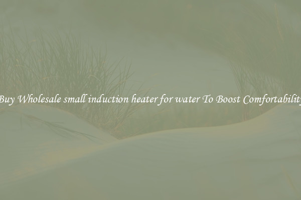 Buy Wholesale small induction heater for water To Boost Comfortability